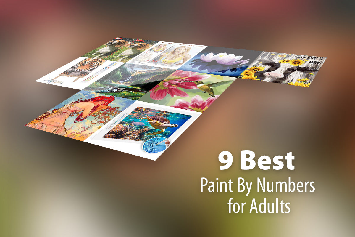 Winnie's Picks Starry Night Adult Paint by Numbers Kit
