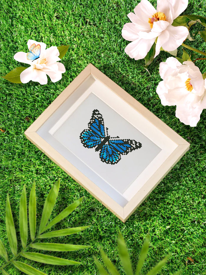 12 Assorted Butterfly Diamond Paintings - Set 1
