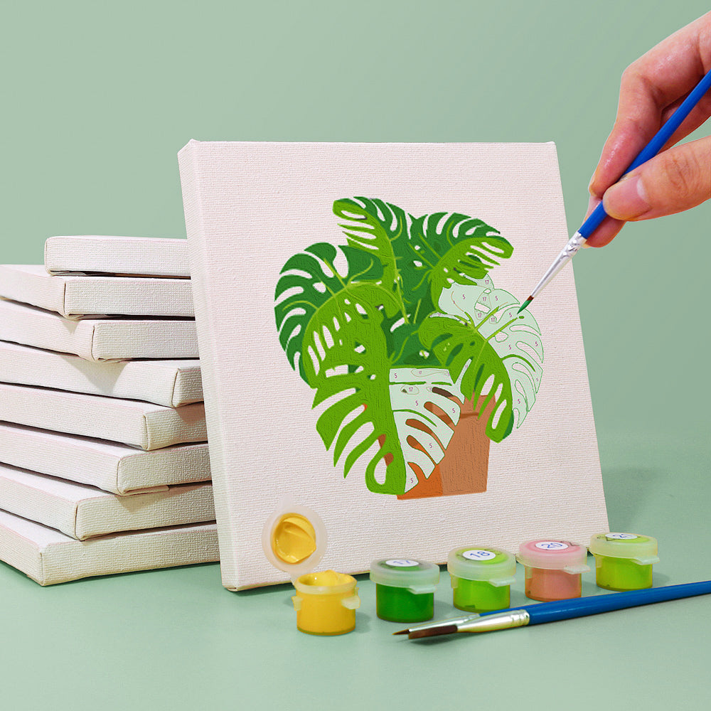 Houseplants 9 Pack Mini Paint by Numbers Kit