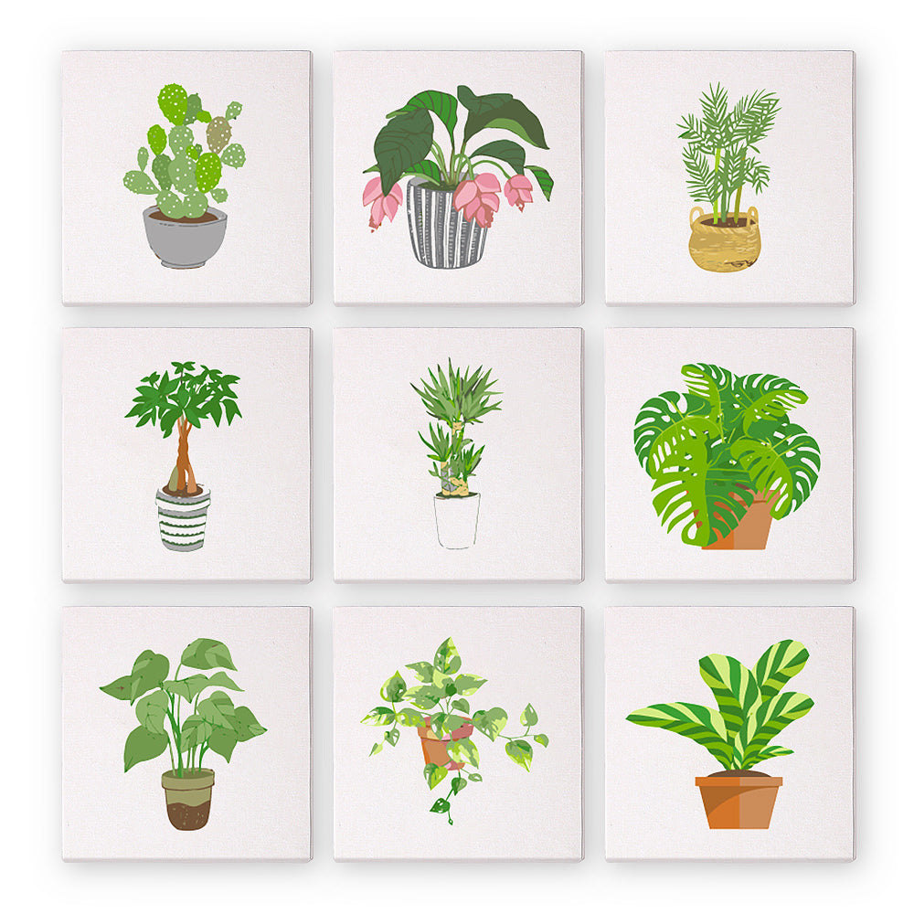 Houseplants 9 Pack Mini Paint by Numbers Kit