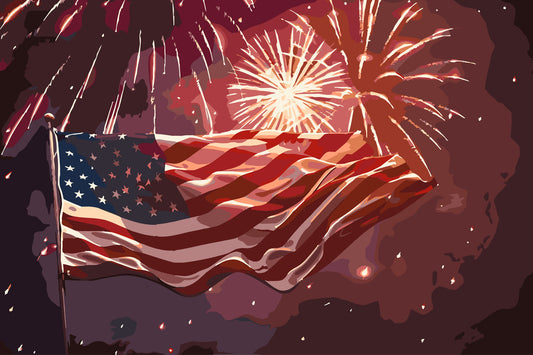 Freedom Fireworks Paint by Numbers Canvas Kit