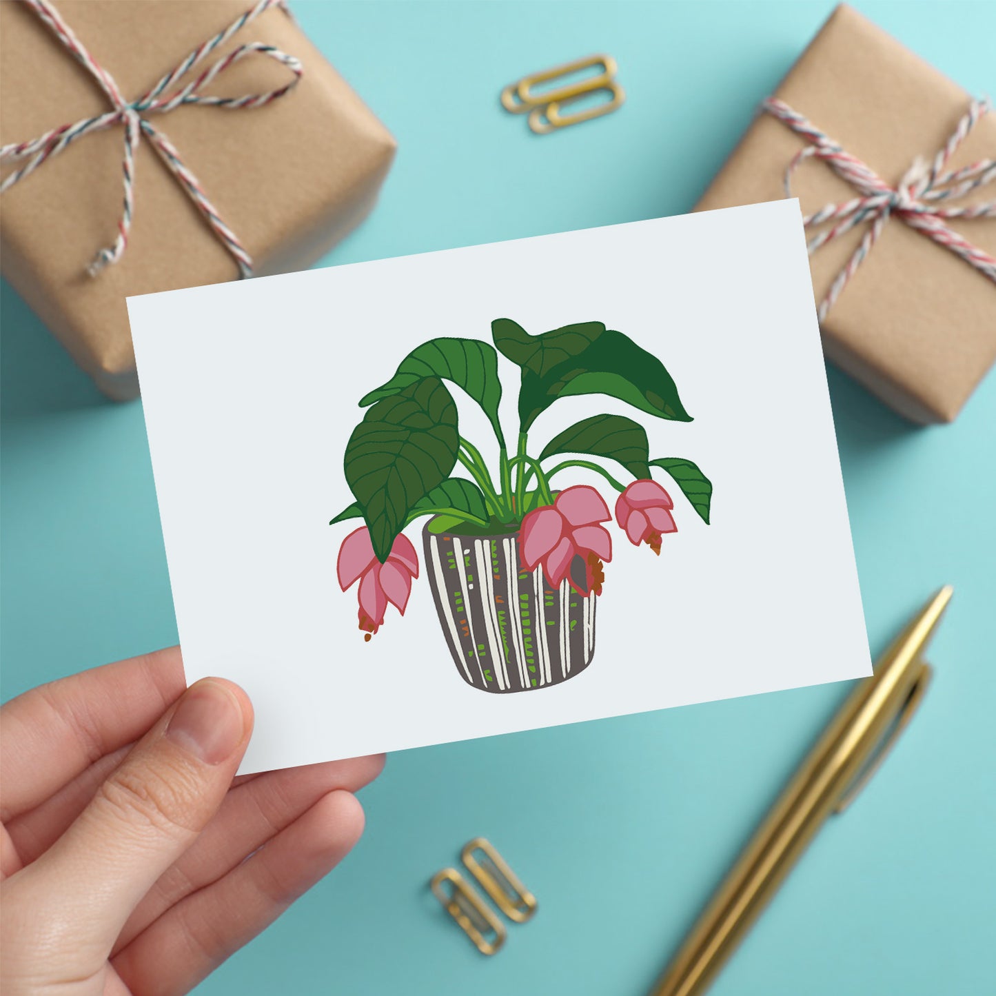 Houseplant Postcard Paint Kit