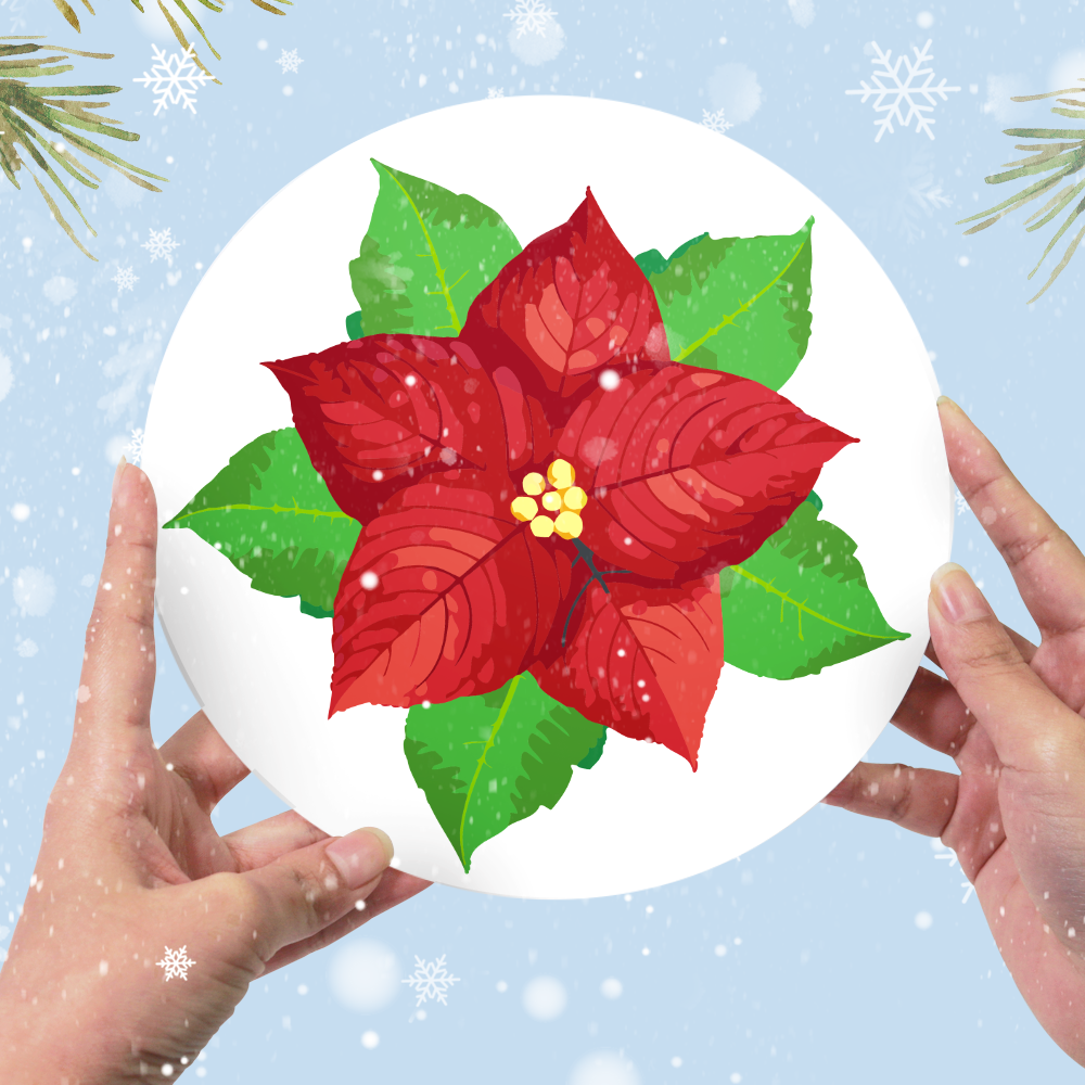 6 Piece Christmas Placemat Set 20cm - Set 28