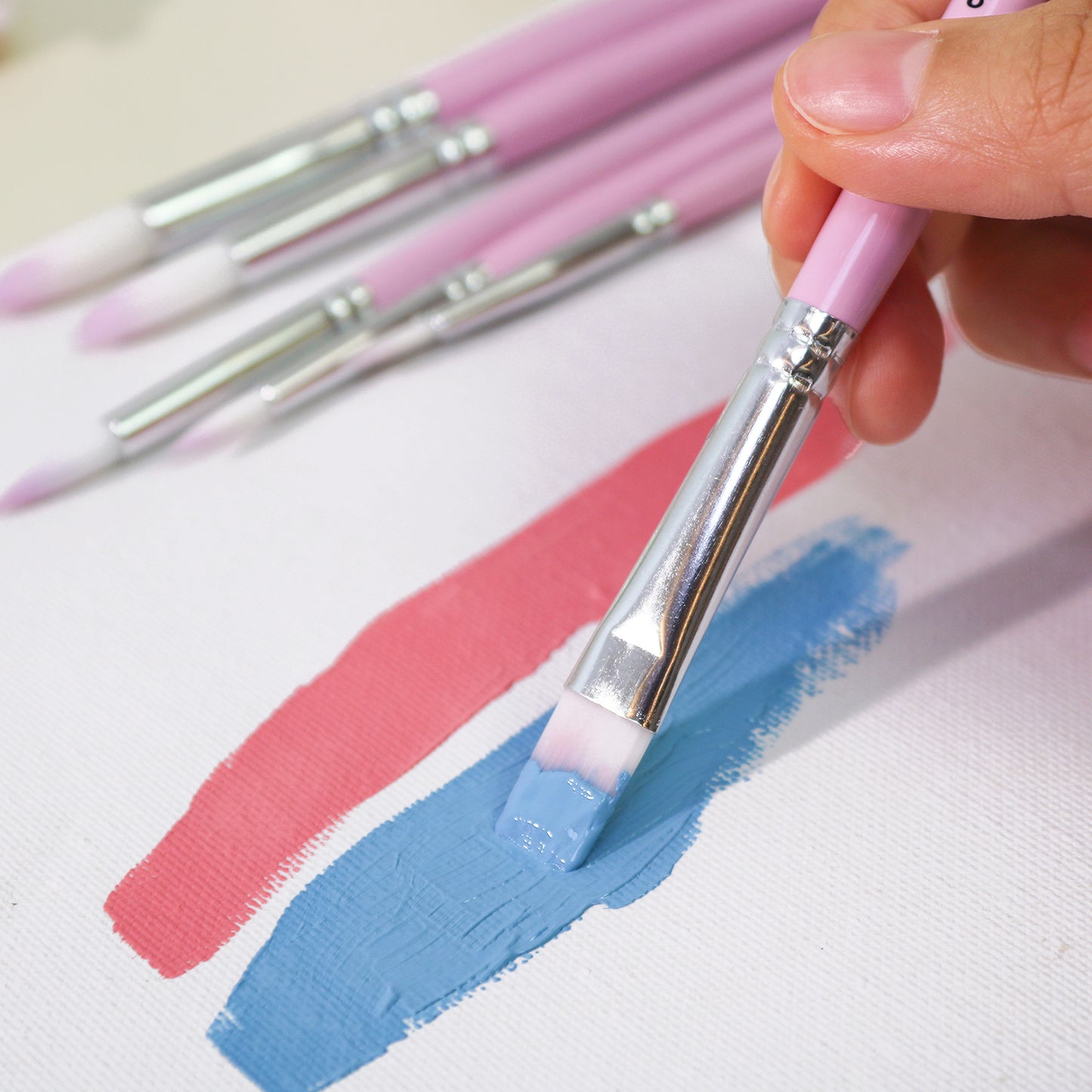 6-Piece Set of Pink Brushes