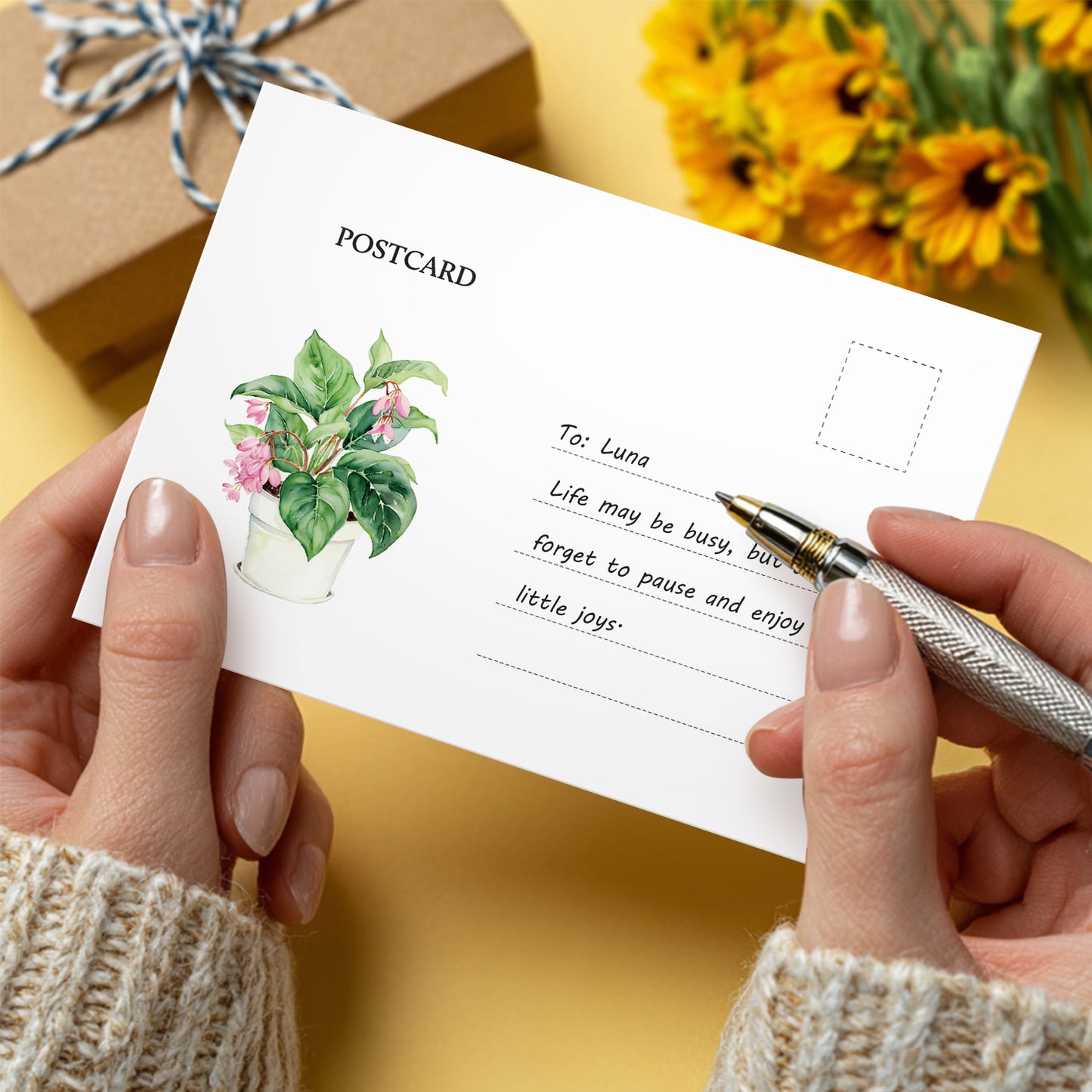 Houseplant Postcard Paint Kit