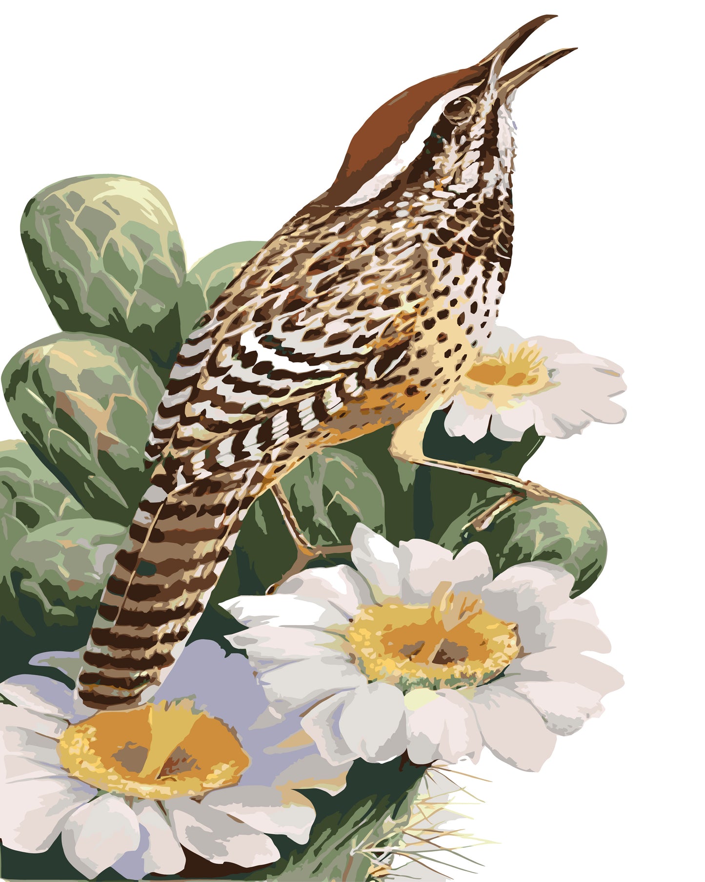 Arizona State Birds And Flowers