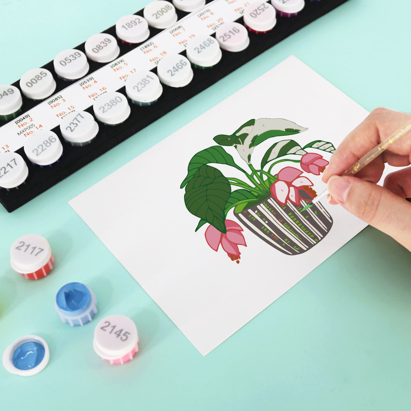 Houseplant Postcard Paint Kit
