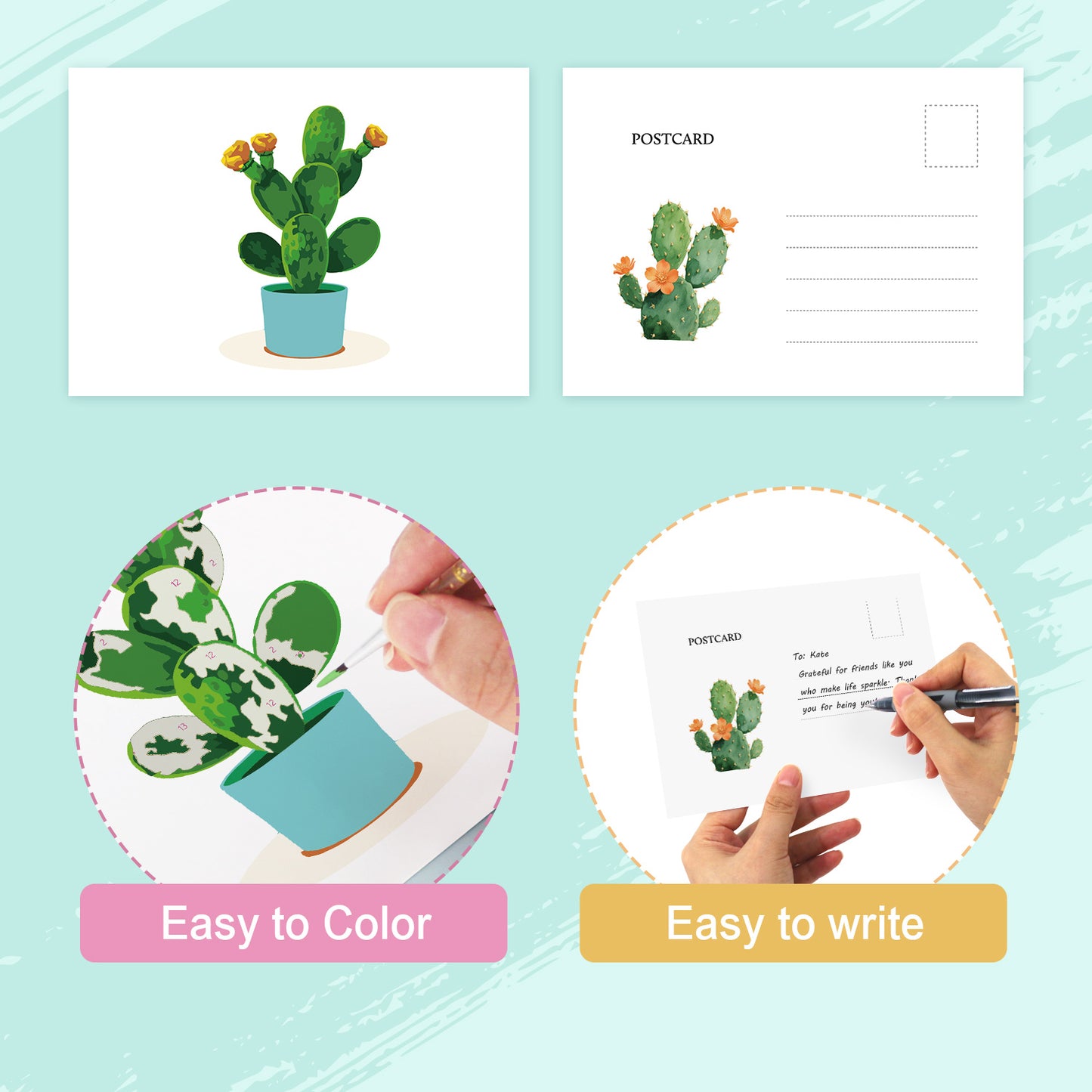 Houseplant Postcard Paint Kit