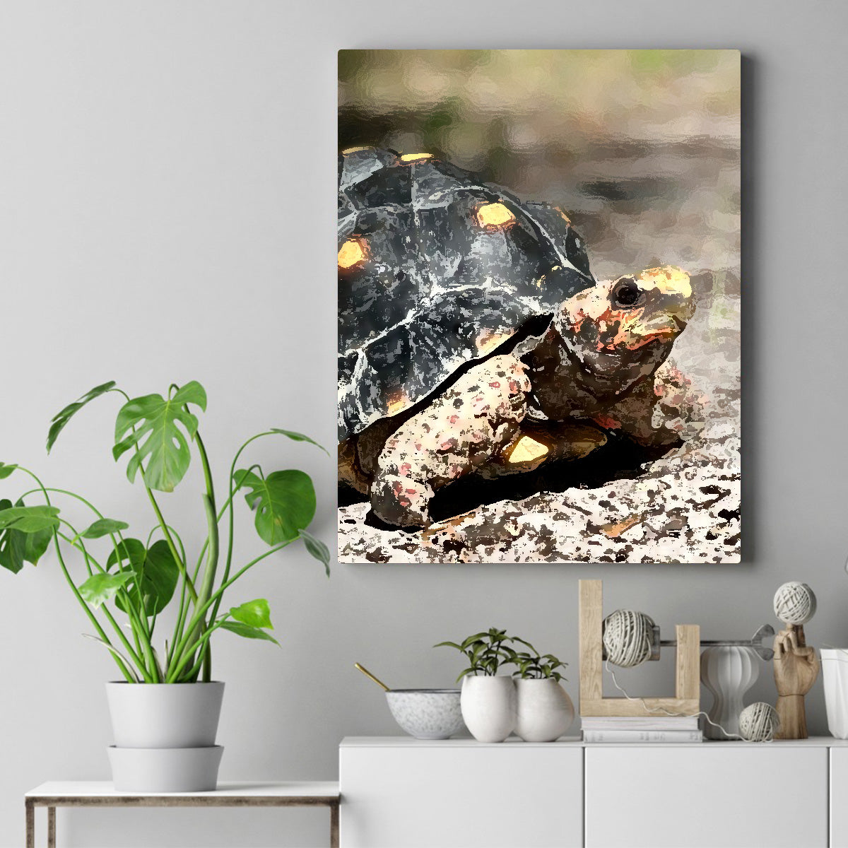 Turtle "Simon" Paint by Numbers Canvas Kit