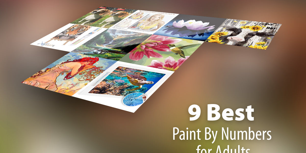 9 Best Paint By Numbers for Adults