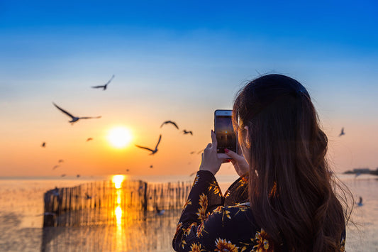 How to Choose the Best Photo for a Custom Paint by Numbers (Complete Photo Guide)