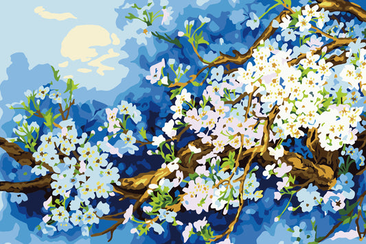 Kirschblüte