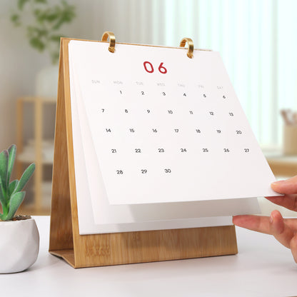 A Year of Cheer 2026: Christmas Paint-by-Numbers Calendar