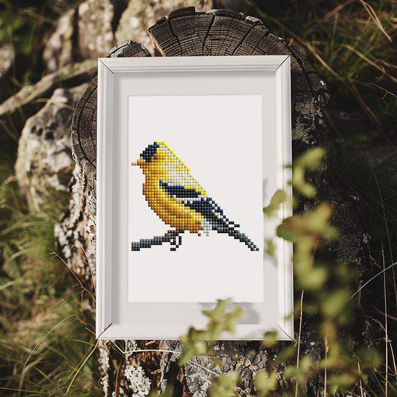 12 Assorted Bird Diamond Paintings