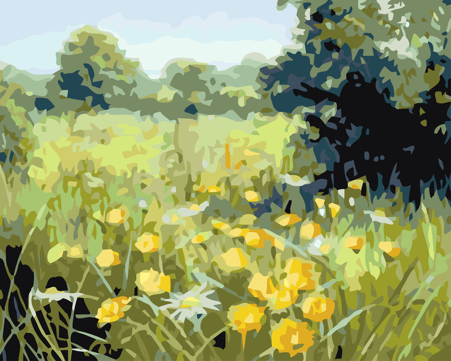 Summer Meadow