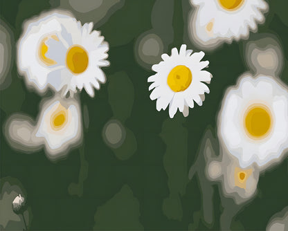 Chamomile