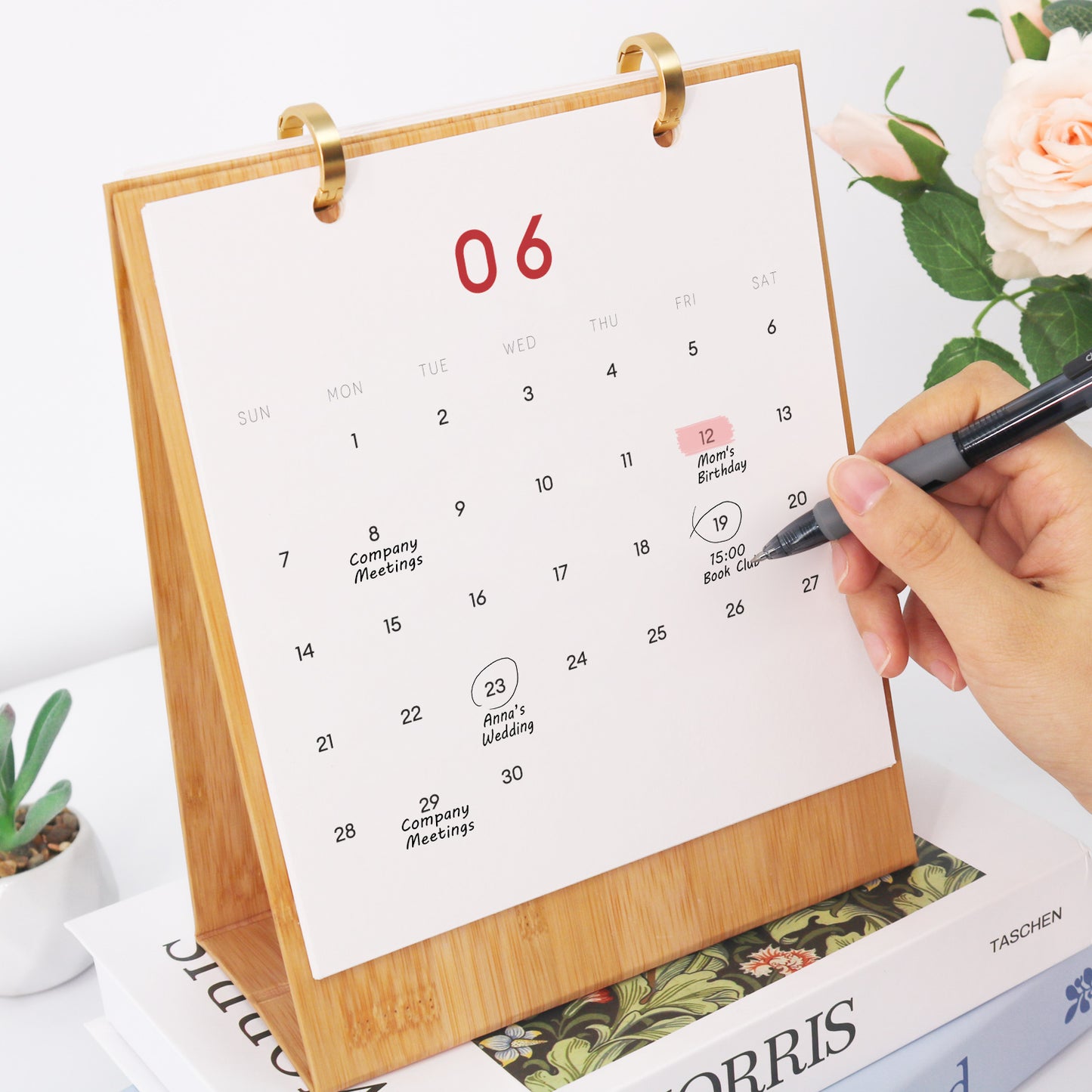 A Year of Cheer 2026: Christmas Paint-by-Numbers Calendar
