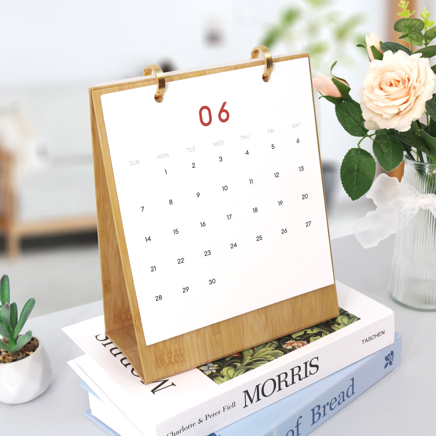 A Year of Cheer 2026: Christmas Paint-by-Numbers Calendar