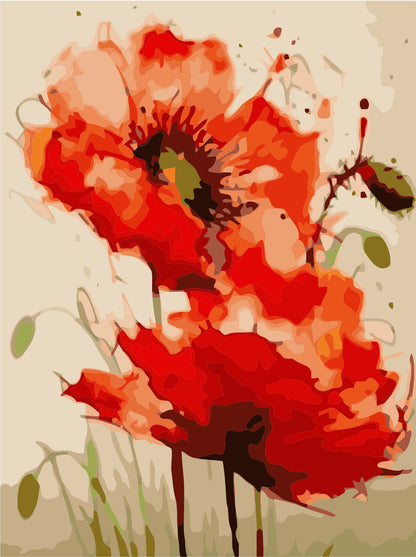 Poppy Flowers