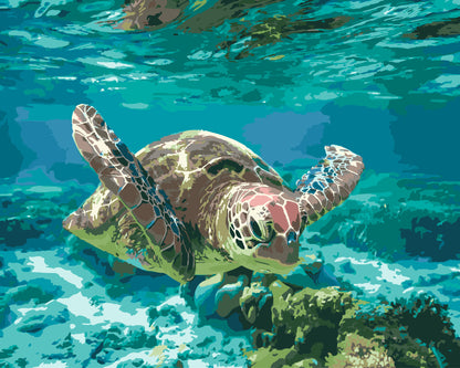 Sea Turtle