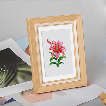 12 Assorted Flower Diamond Paintings - Set 2