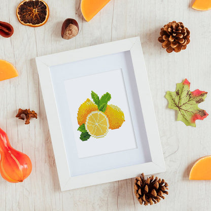 12 Assorted Fruit Diamond Paintings