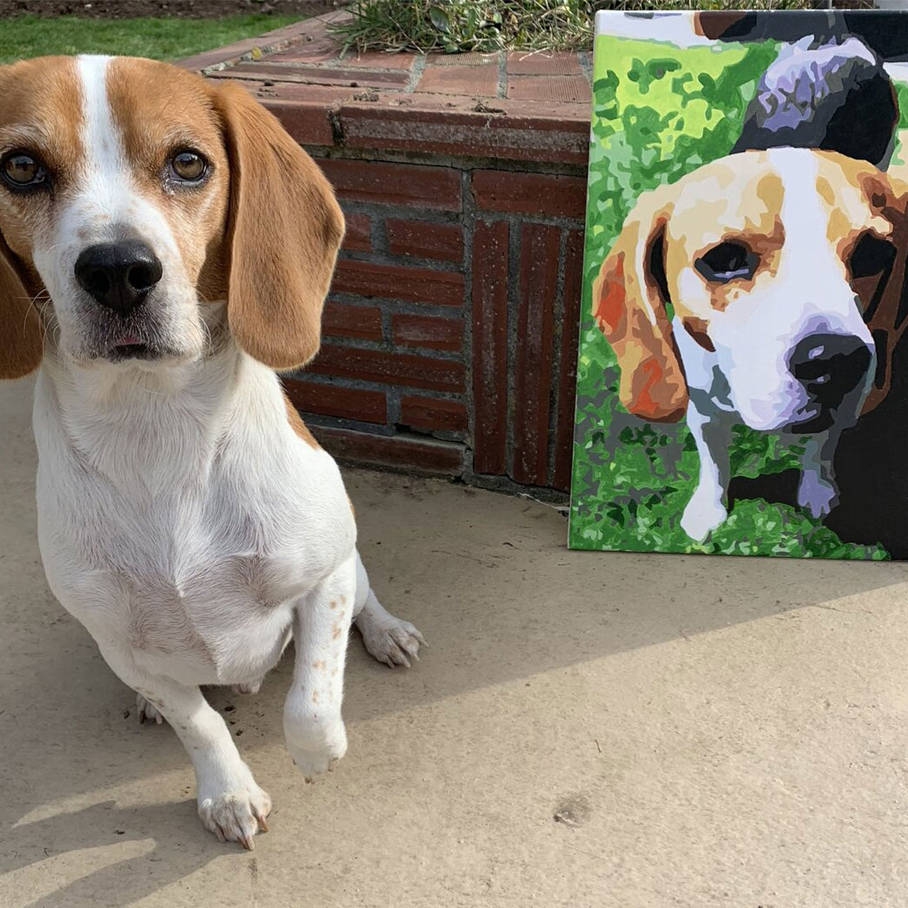 Custom Paint By Numbers Kit Upload Your Photo Brush Set Included