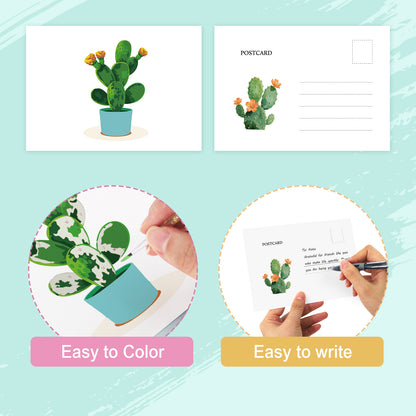 Houseplant Postcard Paint Kit