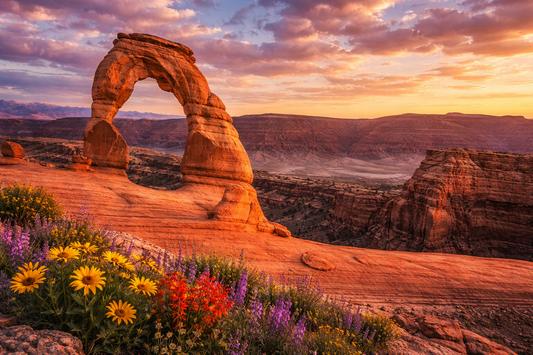 Arches National Park