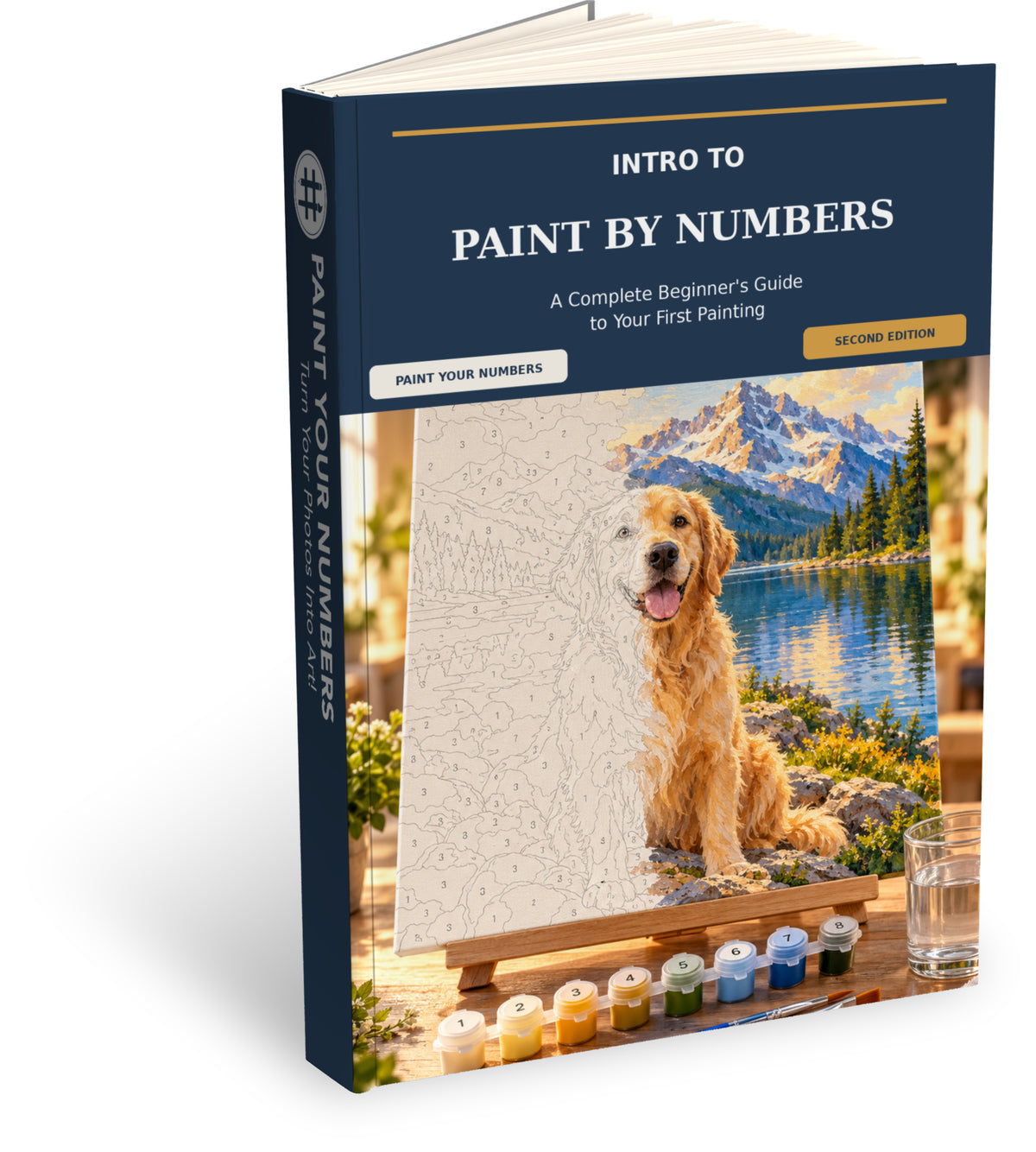 Intro To Paint By Numbers book