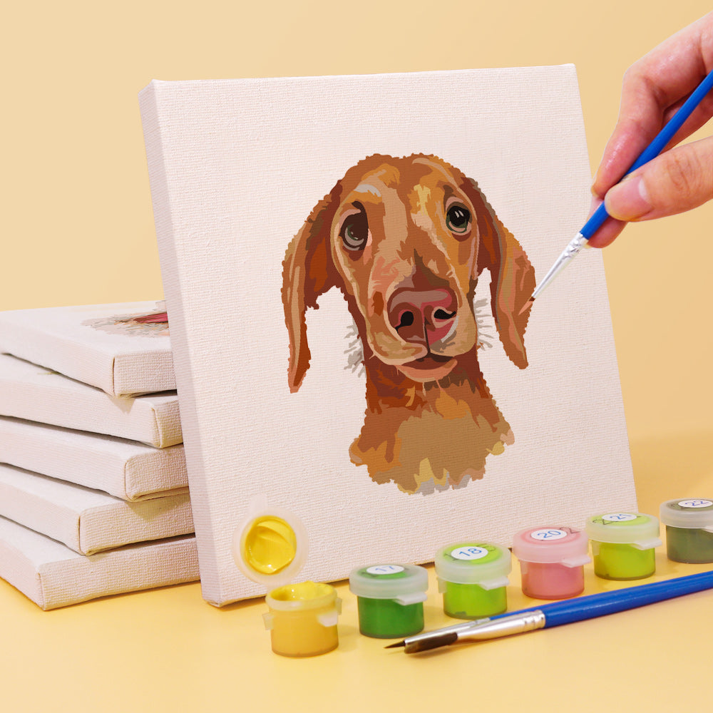 Puppy Faces 6 Pack Mini Paint by Numbers Kit