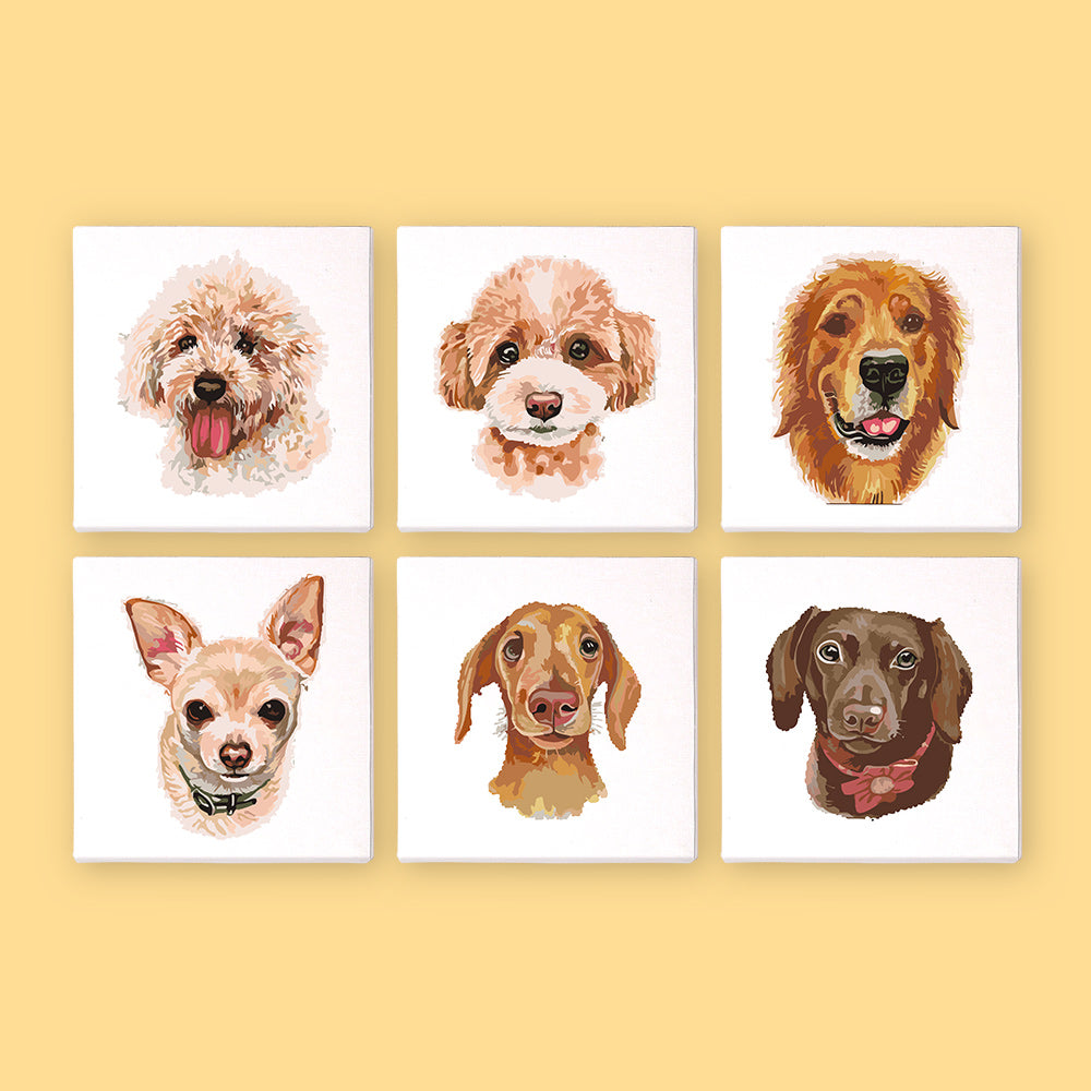 Puppy Faces 6 Pack Mini Paint by Numbers Kit