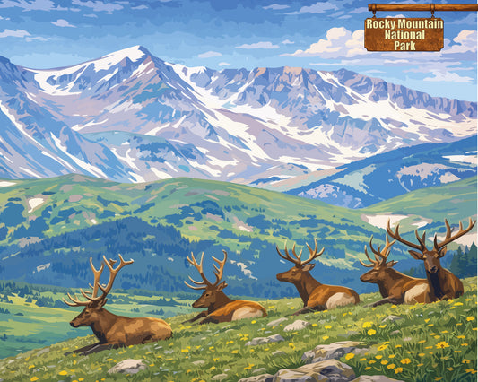 Rocky Mountain National Park - Set 2