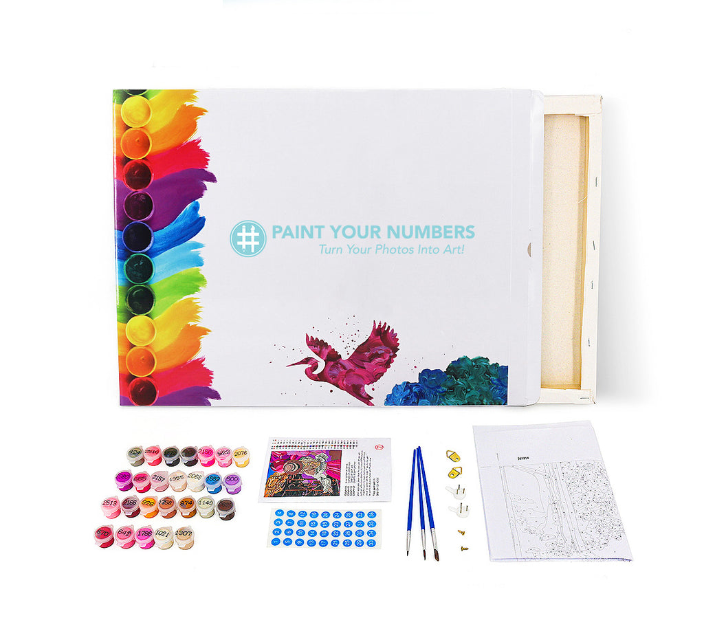 Custom Paint By Numbers Kit - Upload Your Photo - Brush Set Included