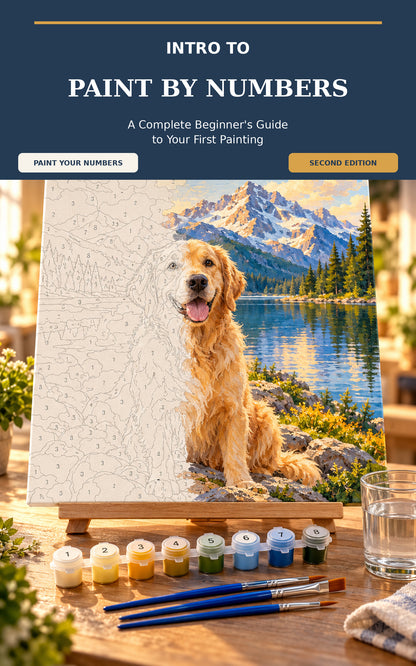 Intro to Paint by Numbers cover